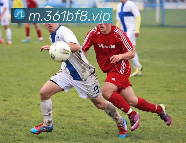 必发指数平台生态图